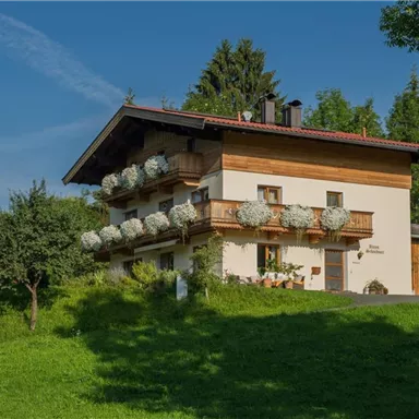 A beautiful house amidst green meadows, surrounded by trees. Blooming flower boxes hang over the balconies.