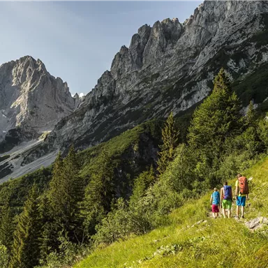 Eine Gruppe von Wanderern geht einen grünen Hang hinauf, umgeben von majestätischen Bergen. Die Landschaft ist üppig und sonnig, mit Nadelbäumen und markanten Felsformationen.