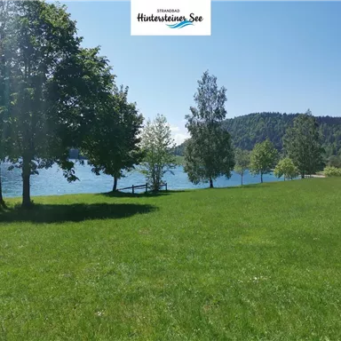A beautiful green lawn with trees and a view of the tranquil lake. Gentle hills can be seen in the background.