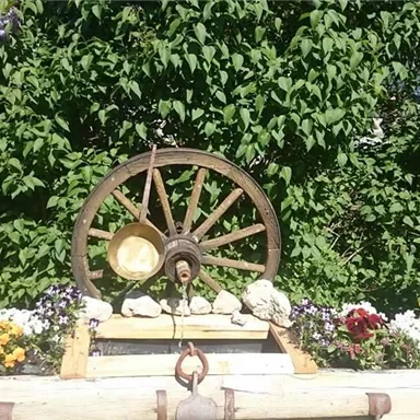 A decorative fountain with an old wagon wheel and colorful flowers in the foreground. In the background, lush greenery can be seen.