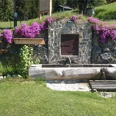 A beautiful fountain surrounded by colorful flowers and green grass. In the background, trees and a peaceful landscape can be seen.