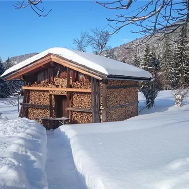 A cozy wooden house in the snow, surrounded by tall fir trees. The snowy path leads to the front door.