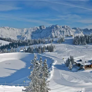 A winter landscape with snow-covered trees and mountains in the background. The sky is clear and blue.