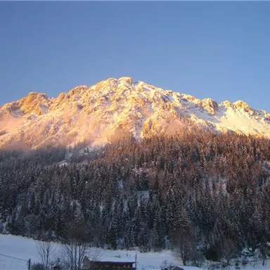 An impressive mountain landscape with snow-capped peaks and green forests. The sky is clear and radiates in soft evening colors.