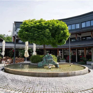 A charming courtyard with a fountain in the middle and a large tree. Cozy seating areas and plants surround the courtyard.