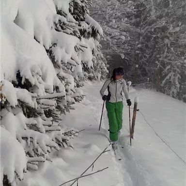 A person is skiing on a snowy path. Surrounded by snow-covered trees, the landscape is wintery and calm.
