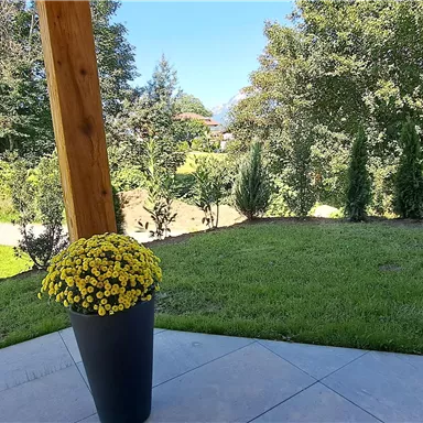 A beautiful garden with green trees and flowers. In the foreground stands a pot with large, yellow blooms.