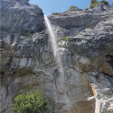 Ein Wasserfall, der majestätisch von einer Felsenwand herabfließt. Im Vordergrund sind grüne Pflanzen und sonniges Wetter zu sehen.