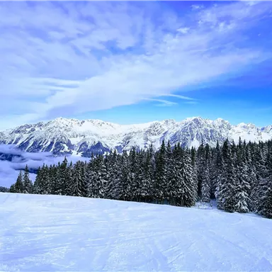 A winter landscape with snow-covered mountains and a clear blue sky. In the foreground, there are tall, green coniferous trees.