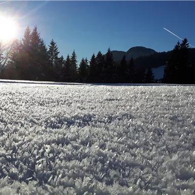 Eine verschneite Landschaft mit glitzerndem Schnee und einem strahlenden Sonnenuntergang. Im Hintergrund sind Berge und Bäume zu sehen.