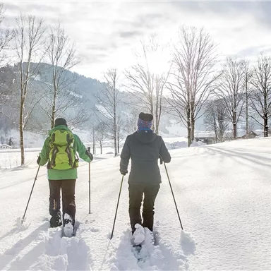 Schneeschuhwandern