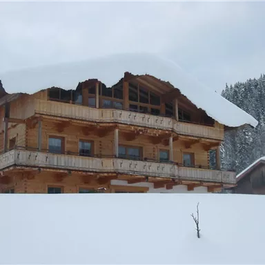 A two-story wooden house with a snow-covered roof. Snow-covered trees can be seen in the background.