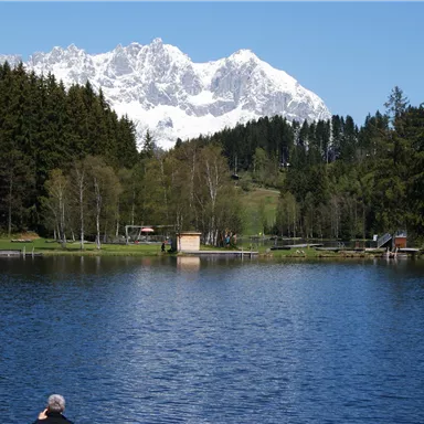 A quiet lake surrounded by green trees and mountains. Snow-capped peaks are visible in the background.