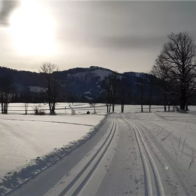 A snowy landscape with cross-country ski tracks and trees in the background. The sun shines through the clouds and illuminates the winter idyll.