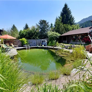 An idyllic natural pool surrounded by lush greenery and flowers. In the background, a cozy wooden house and a gazebo are visible.