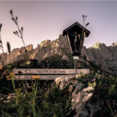 Ein Holzschilder mit der Aufschrift "ARGE Wilder Kaiser" steht vor einer beeindruckenden Berglandschaft. Die Umgebung ist von Blumen und hoch aufragenden Bergen umgeben.