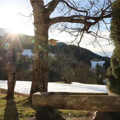 Eine malerische Landschaft mit schneebedeckten Wiesen und Bergen im Hintergrund. Die Sonne scheint durch die Bäume und erzeugt ein warmes Licht.