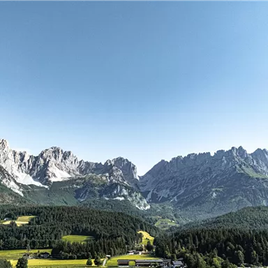 Eine beeindruckende Berglandschaft mit hohen Gipfeln und klarem Himmel. Die grüne Wiese im Vordergrund ergänzt das malerische Panorama.