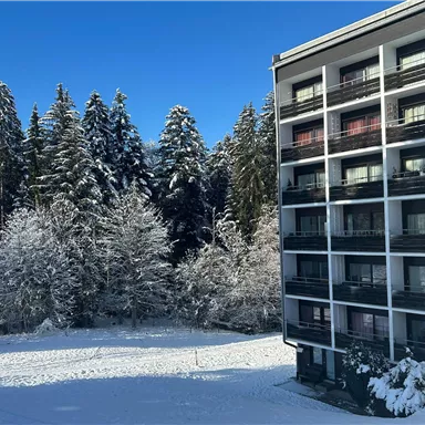 A snow-covered landscape with snowy trees and a modern residential building. The sky is clear and blue.