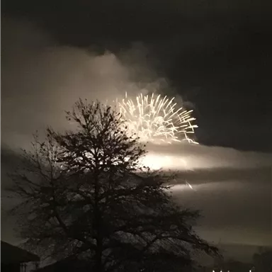 A firework lights up the night sky behind a tree. Dark clouds frame the glowing colors of the firework.