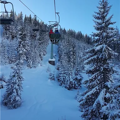 Eine Skiliftfahrt durch eine verschneite Landschaft mit hohen Tannen. Der Himmel ist klar und blau.