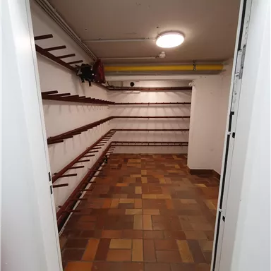 An empty room with brown tiles and open shelves on the walls. The ceiling is illuminated by a lamp.