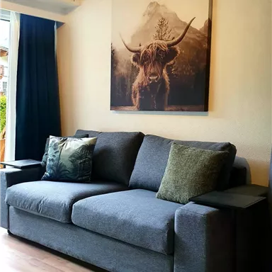 A cozy living room with a gray sofa and decorative cushions. On the wall hangs a picture of a Highland cow in front of a mountain landscape.