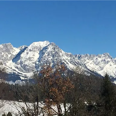 Eine beeindruckende Berglandschaft mit schneebedeckten Gipfeln unter einem klaren blauen Himmel. Im Vordergrund sind einige Bäume sichtbar.