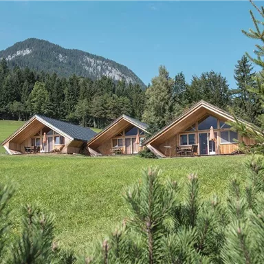 Drei moderne Holzchalets stehen in einer grünen Wiese. Im Hintergrund sind hohe Berge und Wälder zu sehen.