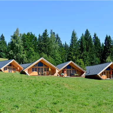 Three modern wooden houses stand on a green meadow, surrounded by towering trees. The clear sky and sunny surroundings create a cozy atmosphere.