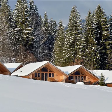 Eine idyllische Winterlandschaft mit schneebedeckten Hütten. Im Hintergrund stehen hohe, grüne Tannenbäume.
