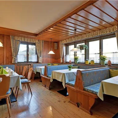 Ein gemütliches Restaurant mit Holzwänden und Tischen in hellen Farben. Große Fenster lassen viel Licht herein und Pflanzen sorgen für eine einladende Atmosphäre.