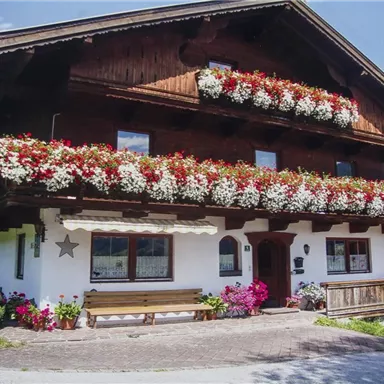A traditional house with lush flower balconies and a well-kept porch. Surrounded by green grass and colorful plants.