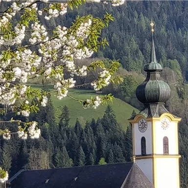 A beautiful church with an onion-shaped tower stands in the foreground. In the background, you can see green hills and blooming trees.
