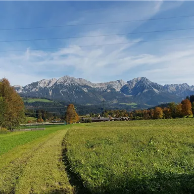 A beautiful dirt path leads through a green meadow. In the background, impressive mountains and a blue sky can be seen.