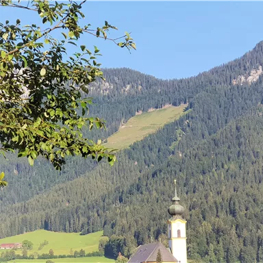 A picturesque mountain landscape with green meadows and a small church in the foreground. The sky is clear and nature radiates calm.
