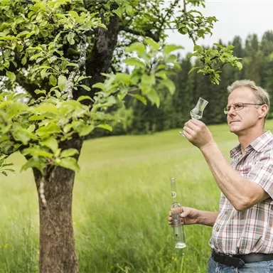 A man is examining a tree in a green field. He is holding a glass device in his hand and is observing attentively.