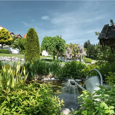 A beautiful garden with a stream and lush greenery. In the background, there are trees and a house.