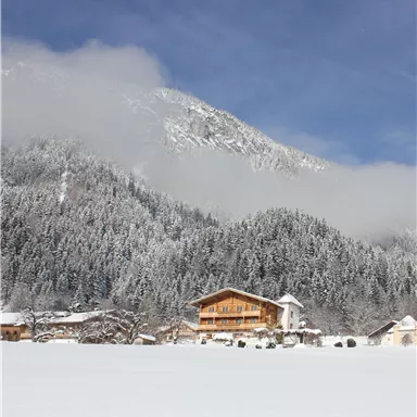 A snowy landscape with a wooden house and majestic mountains in the background. The sky is clear and blue, while the snow blankets the surroundings.