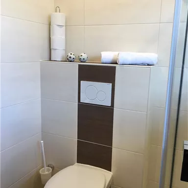 A modern bathroom with a white toilet and a brown wall accent. Clean towels and decorative items are placed on a shelf.