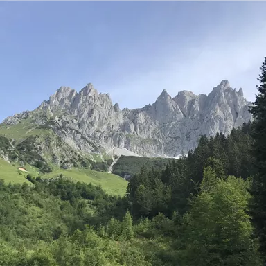 Eine beeindruckende Berglandschaft mit hohen Felsen und üppigem Grün. Der klare Himmel ergänzt die natürliche Schönheit der Umgebung.
