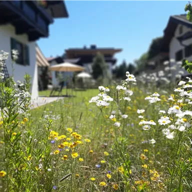 Ein schöner Garten mit bunten Wildblumen und einer hellen Wiese. Im Hintergrund sind einige Häuser und ein Sonnenschirm sichtbar.