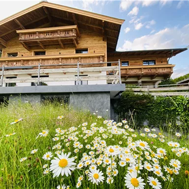 A beautiful wooden house with balconies and large windows. In front of the house, many daisies bloom on a green meadow.