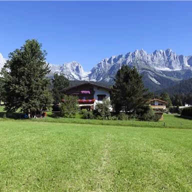 A broad, green meadow with a view of majestic mountains in the background. In the foreground, there are some trees and houses that emphasize the rural idyll.