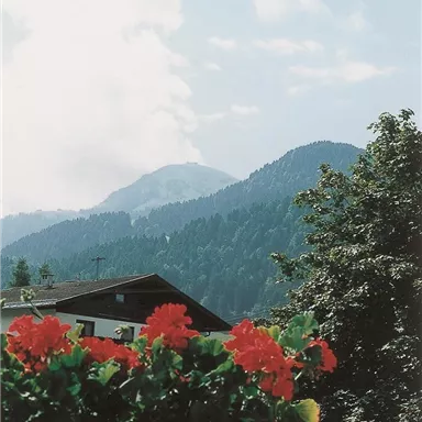 A beautiful mountain view with green mountains and light clouds. In the foreground, red flowers bloom in a flower box.
