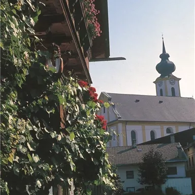 A traditional wooden building with blooming balconies and green vegetation. In the background, a church with a onion dome can be seen.