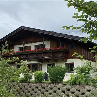 Ein gemütliches Holzhaus mit einem Balkon voller Blumen. Es ist von grünen Pflanzen und Bäumen umgeben.