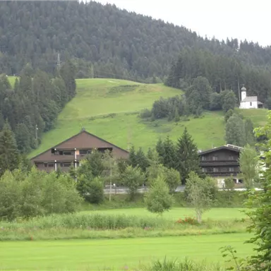 A tranquil landscape with green meadows and gentle hills. In the background, several wooden buildings and a small church tower can be seen.