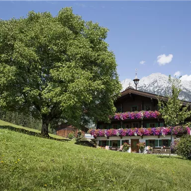 Ein malerisches Haus mit bunten Blumenbänken, umgeben von grünen Wiesen. Im Hintergrund sind beeindruckende Berge und ein blauer Himmel zu sehen.