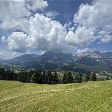 A picturesque landscape with green meadows and majestic mountains in the background. The sky is blue with white clouds.